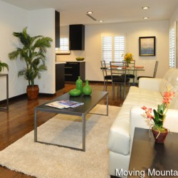 Contemporary Pasadena Home Staging Living Room