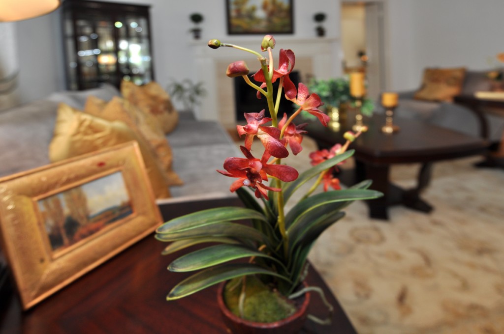 Arcadia Home Staging Living Room closeup photo