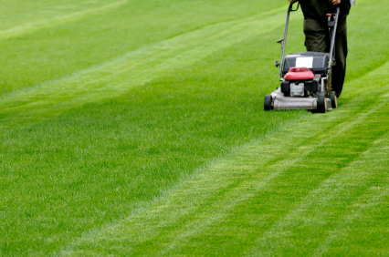 Curb Appeal mowing the lawn with stripe pattern