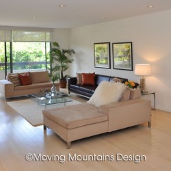 Contemporary Los Angeles Condo Home Staging Livingroom