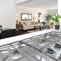 Los Angeles Home Staging Van Nuys Kitchen