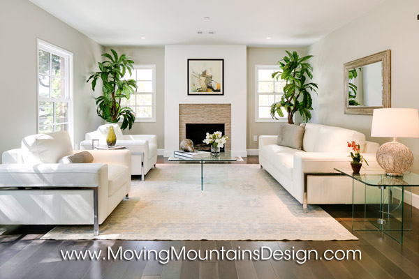 Contemporary home staging living room