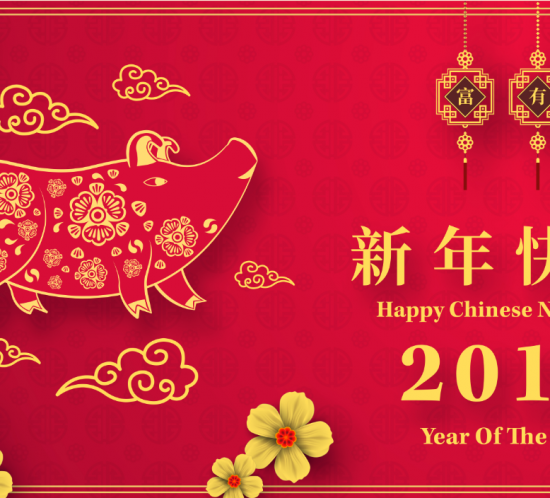 2019 Lunar New Year Pig